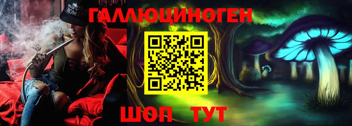 Кингисепп  Галлюциногенные грибы мицелий  Вход с VPN 